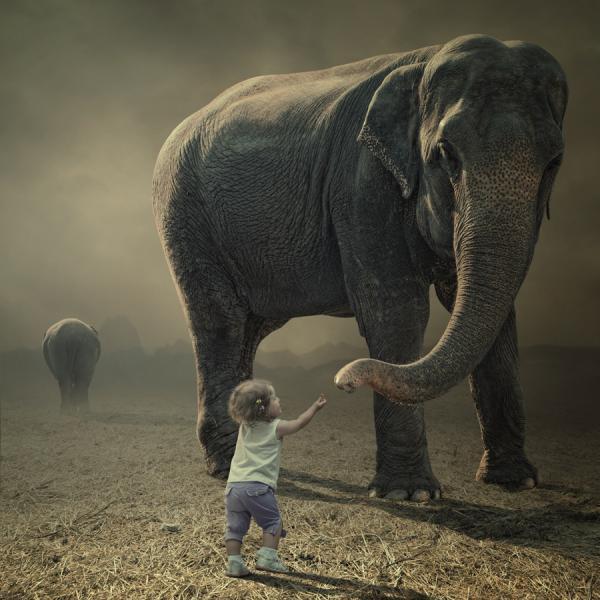 Photography by Caras Ionut