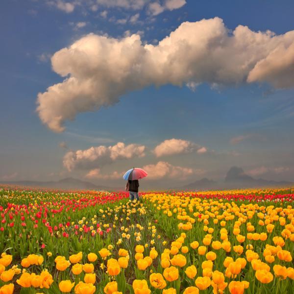 Photography by Caras Ionut
