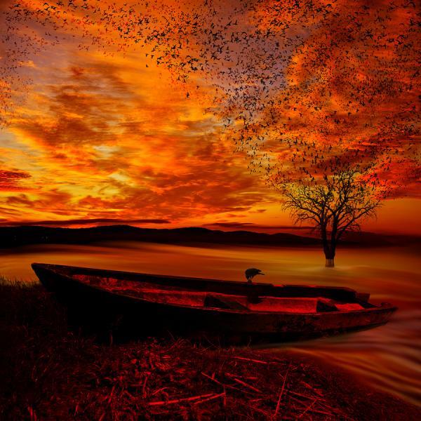 Photography by Caras Ionut