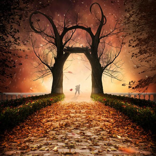 Photography by Caras Ionut