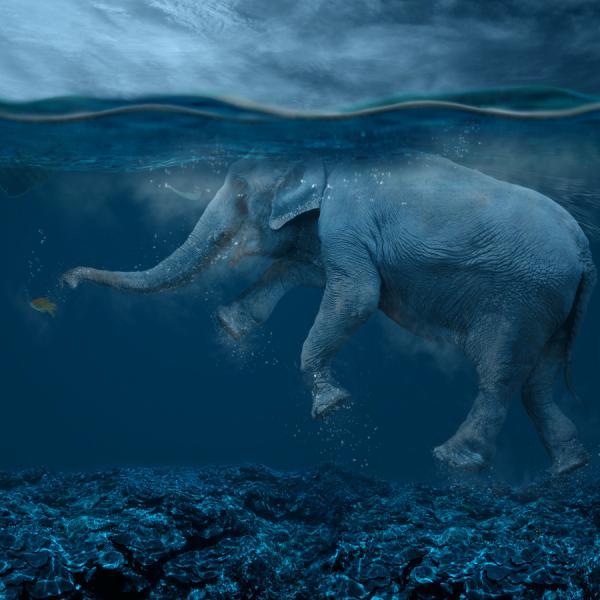 Photography by Caras Ionut