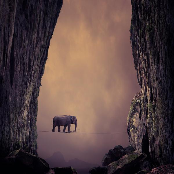 Photography by Caras Ionut