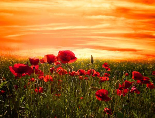 Landscape Photography by Marco Carmassi
