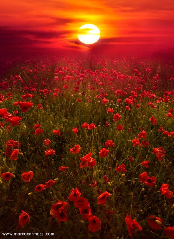 Landscape Photography by Marco Carmassi