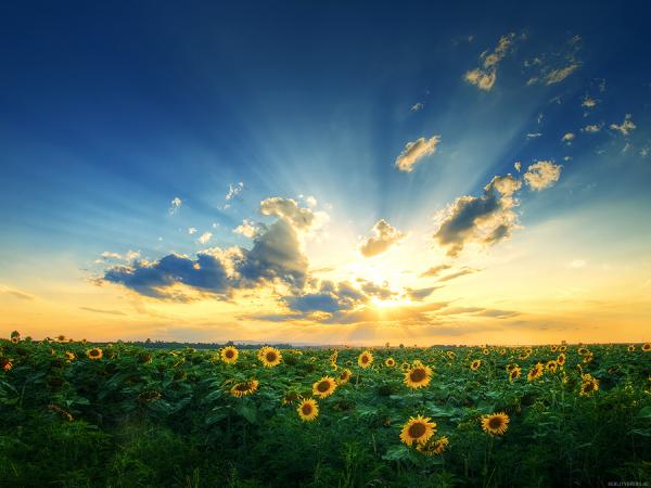 Landscape Photography by Zsolt Zsigmond