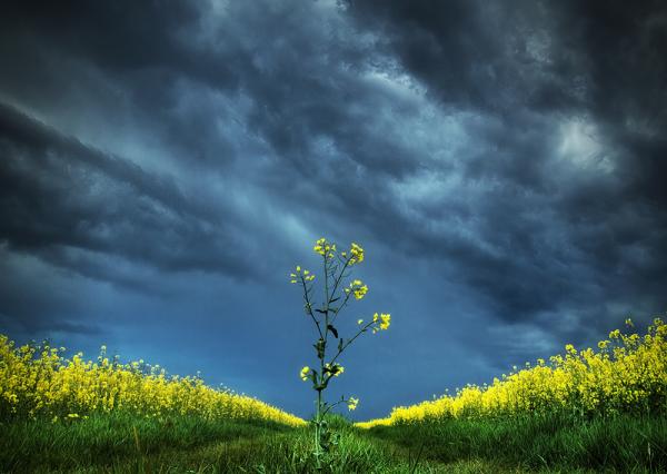 Landscape Photography by Zsolt Zsigmond
