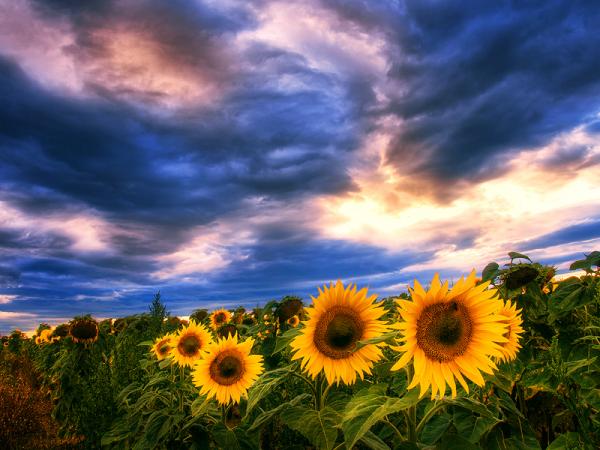 Landscape Photography by Zsolt Zsigmond
