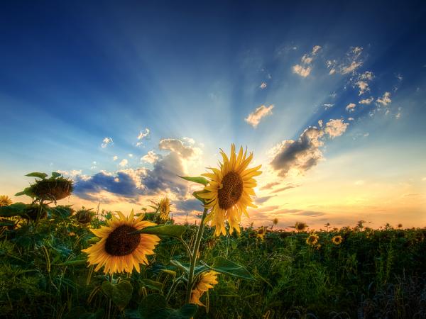 Landscape Photography by Zsolt Zsigmond