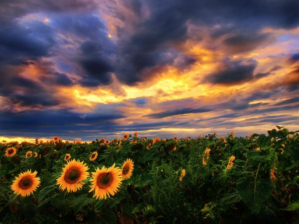 Landscape Photography by Zsolt Zsigmond