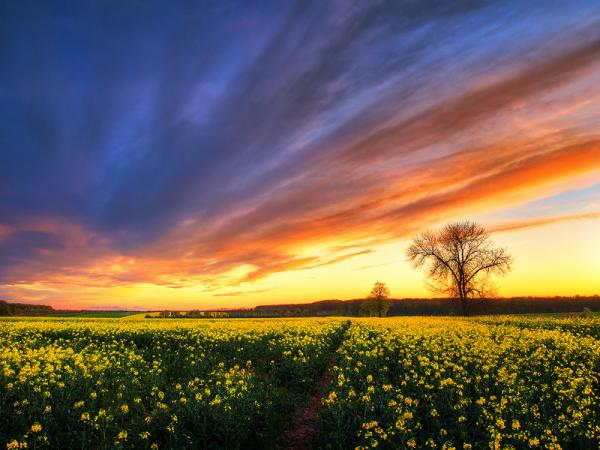 Landscape Photography by Zsolt Zsigmond