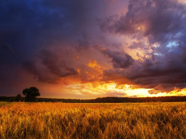 Landscape Photography by Zsolt Zsigmond