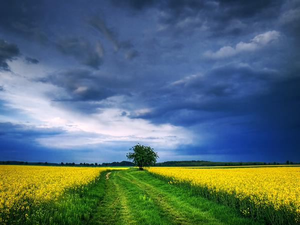 Landscape Photography by Zsolt Zsigmond