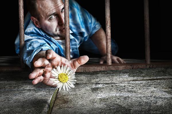 Photography by Adrian Sommeling