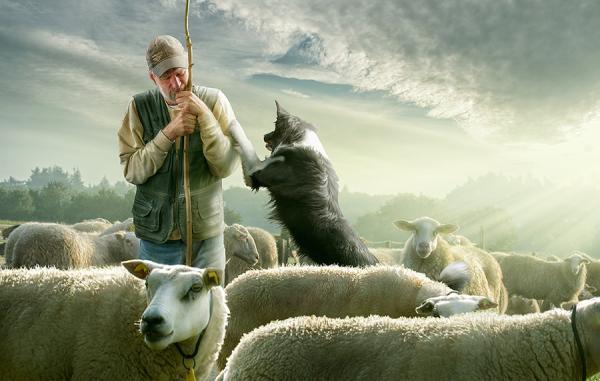 Photography by Adrian Sommeling