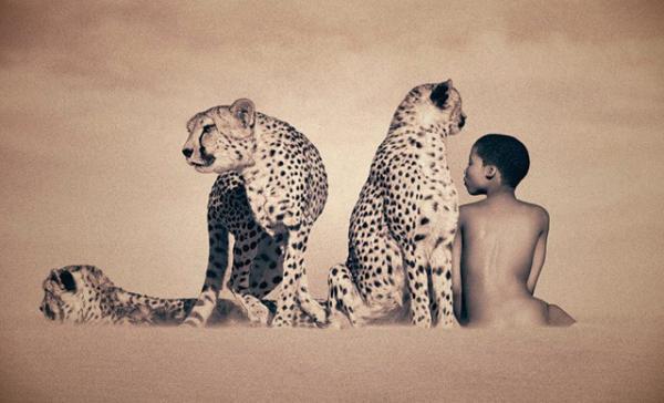 Harmony with Animals