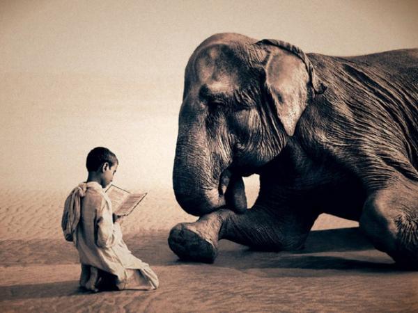 Harmony with Animals
