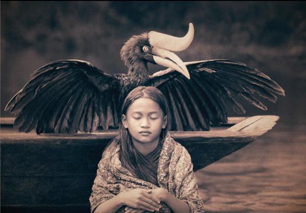 Harmony with Animals