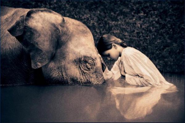 Harmony with Animals