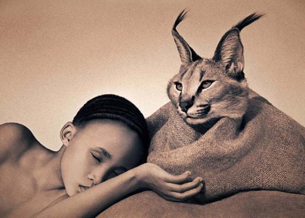 Harmony with Animals