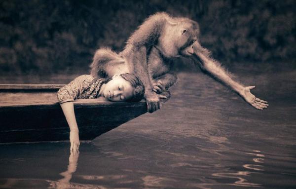 Harmony with Animals