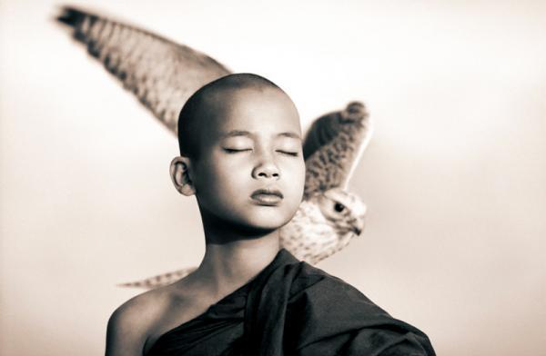 Harmony with Animals
