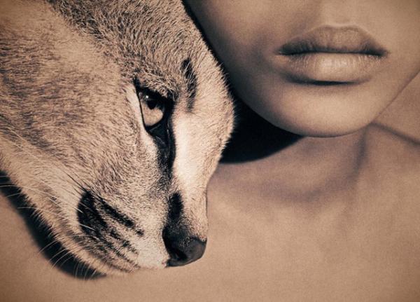 Harmony with Animals