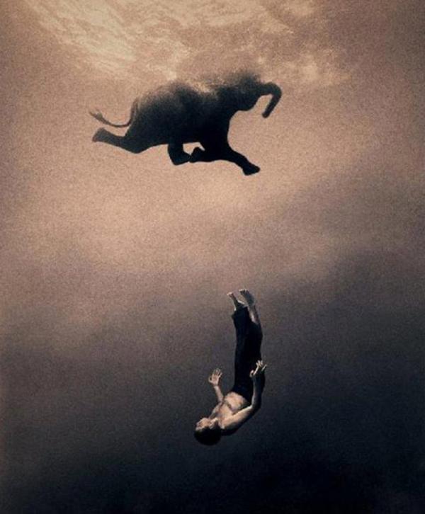 Harmony with Animals