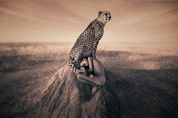 Harmony with Animals