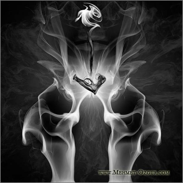 Smoke Art by Mehmet Ozgur