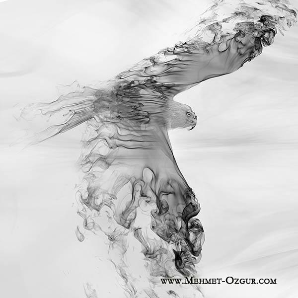 Smoke Art by Mehmet Ozgur