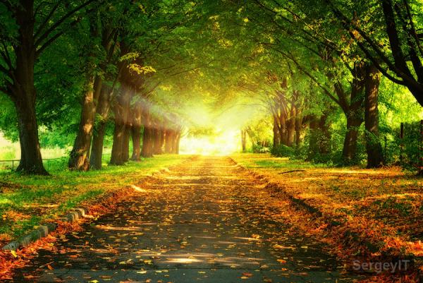 Landscape Photography by Sergiy Trofimov