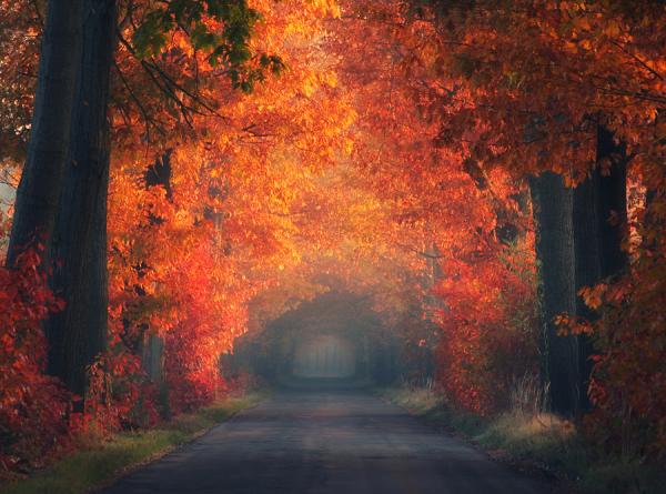 Landscape Photography by Pawel Uchorczak