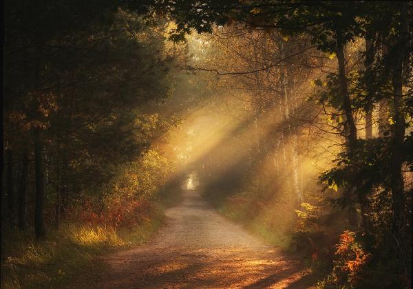 Landscape Photography by Pawel Uchorczak
