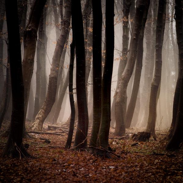 Landscape Photography by Janek Sedlar