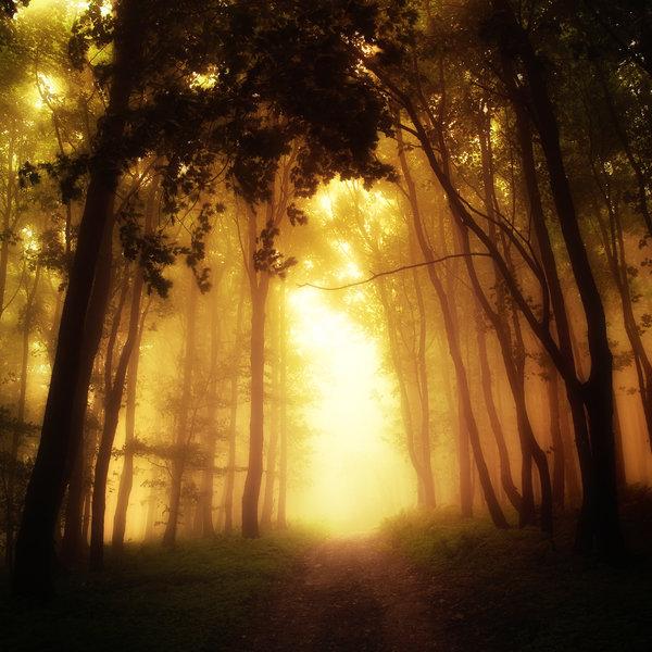 Landscape Photography by Janek Sedlar
