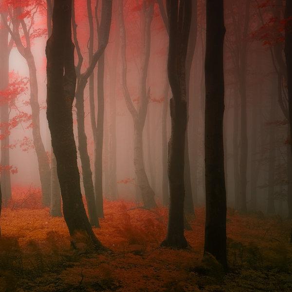 Landscape Photography by Janek Sedlar