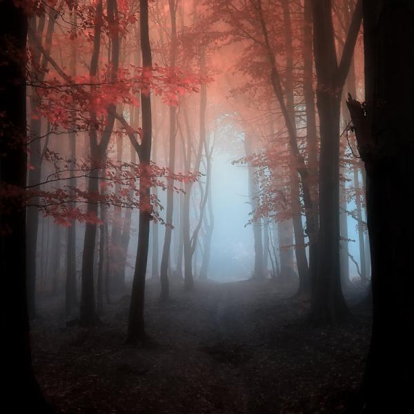 Landscape Photography by Janek Sedlar