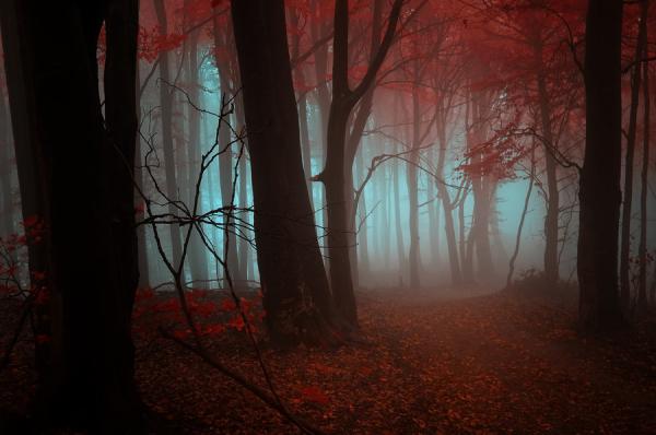 Landscape Photography by Janek Sedlar
