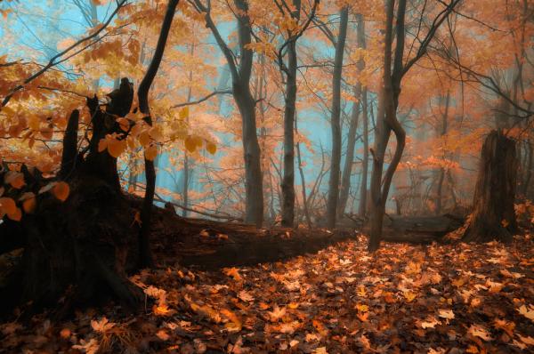 Landscape Photography by Janek Sedlar