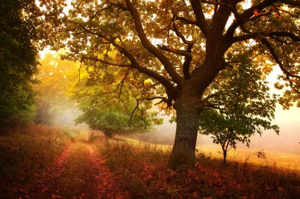 Landscape Photography by Janek Sedlar