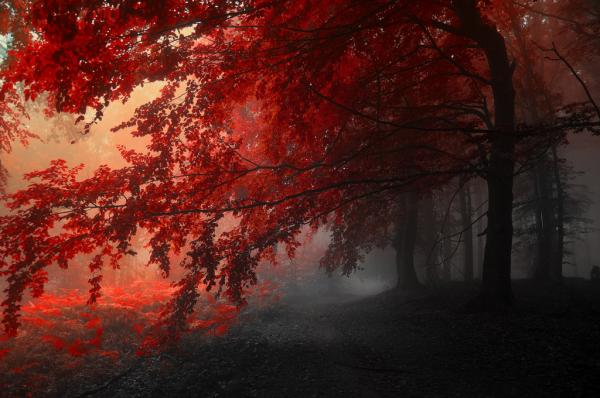 Landscape Photography by Janek Sedlar