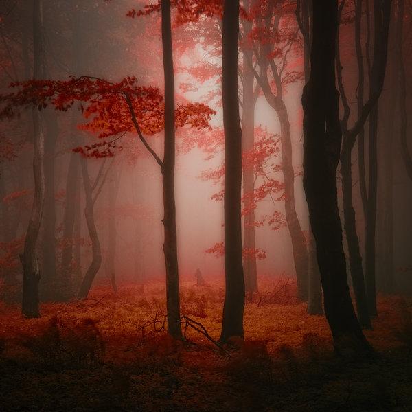 Landscape Photography by Janek Sedlar