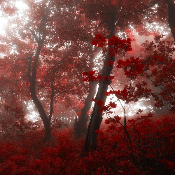 Landscape Photography by Janek Sedlar