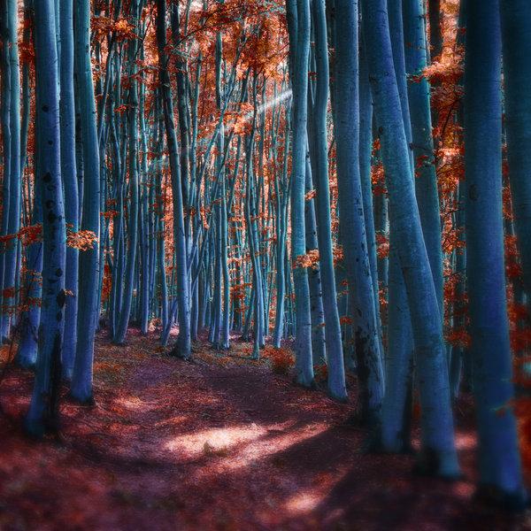 Landscape Photography by Janek Sedlar