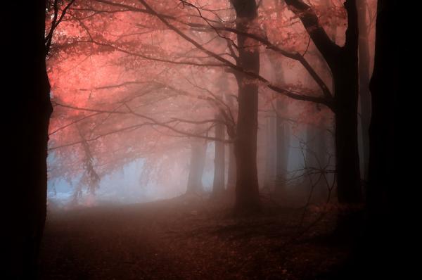 Landscape Photography by Janek Sedlar