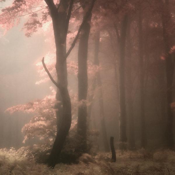 Landscape Photography by Janek Sedlar