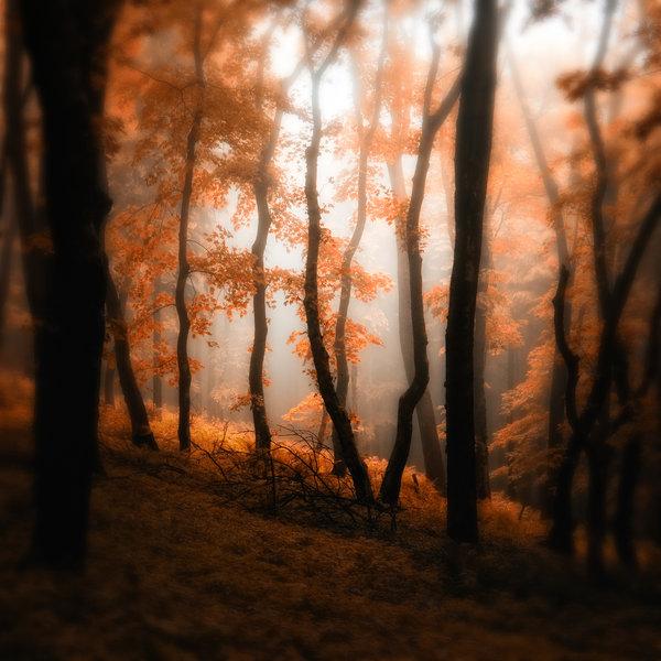 Landscape Photography by Janek Sedlar