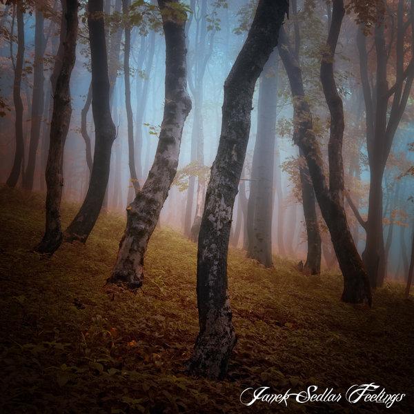 Landscape Photography by Janek Sedlar