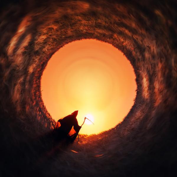 Photography by Arseny Semyonov