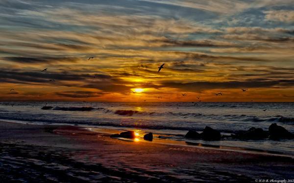 Landscape Photography by Harold Begun